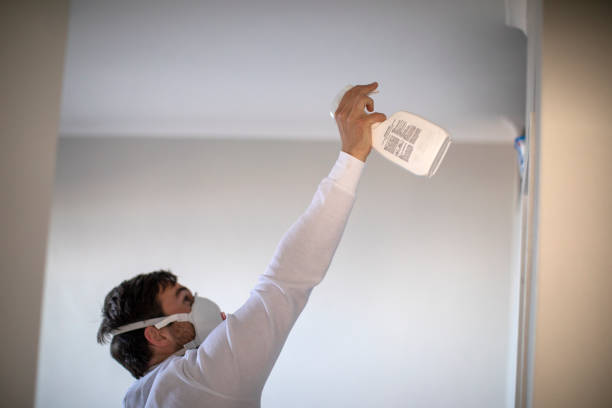 Best Kitchen Mold Remediation in Creola, AL